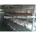 Poultry Farm Design Layout For Chicken Layer Cage Shed